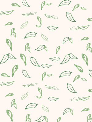 Image Not Available